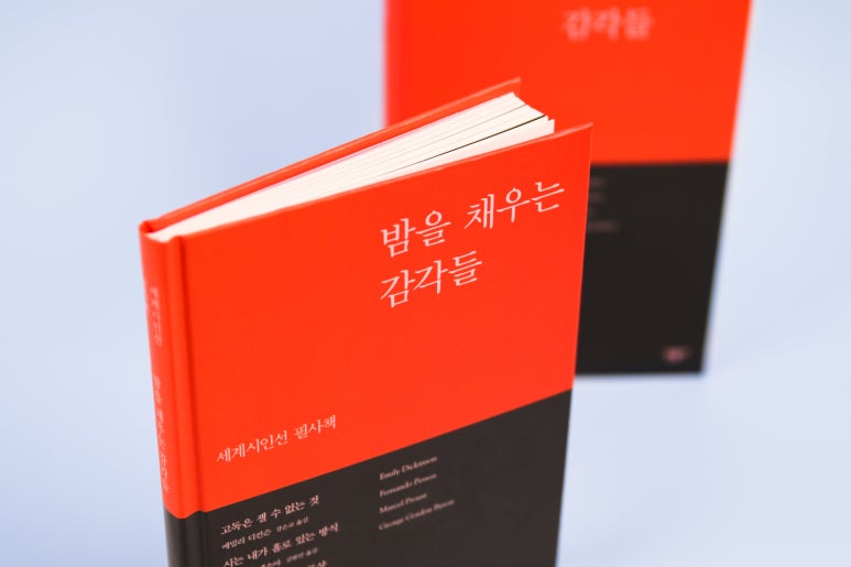 밤의감각 이미지