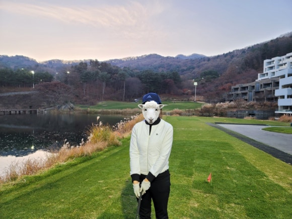 그린피아라운지 이미지