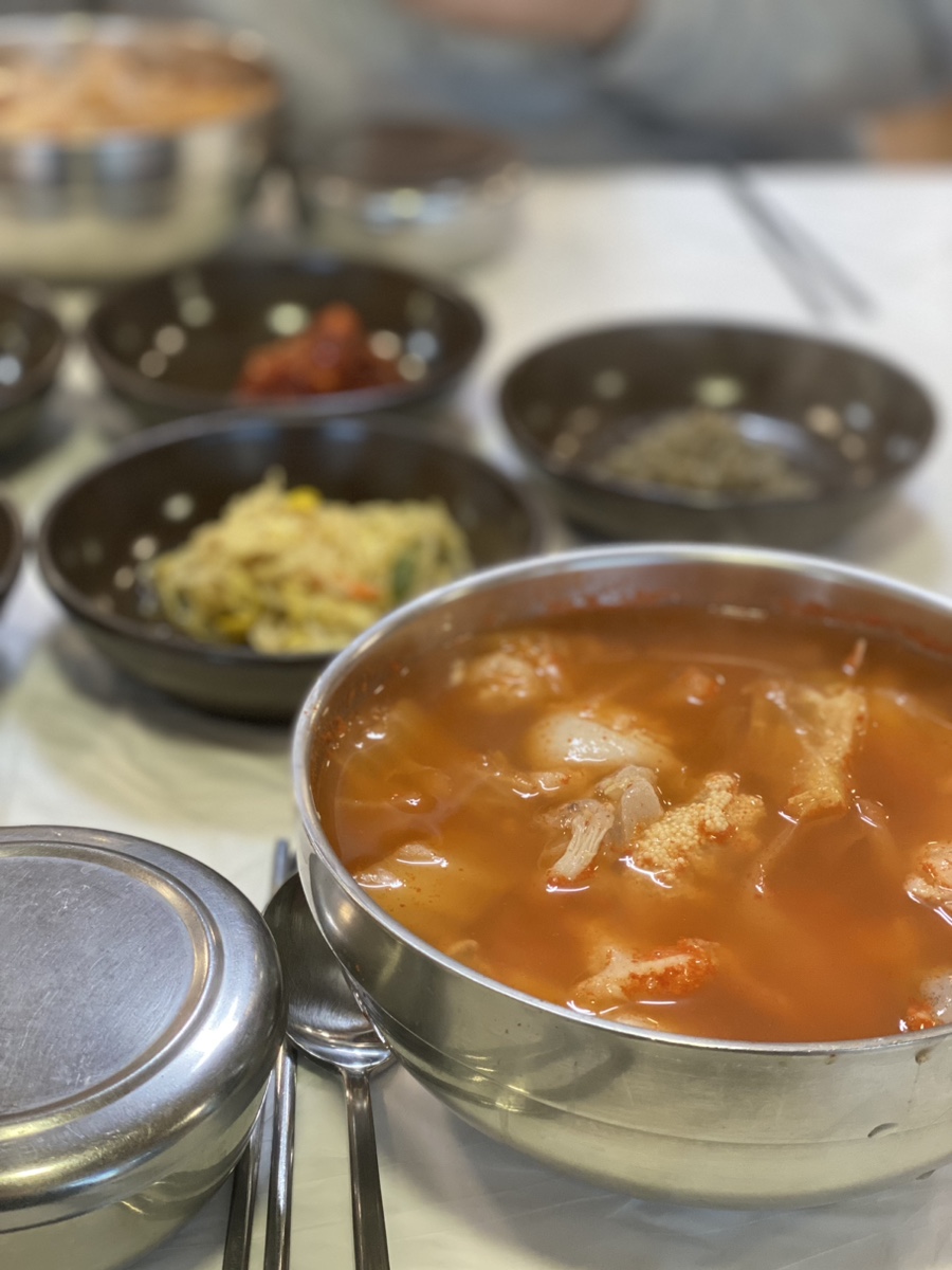 동해곰치 이미지