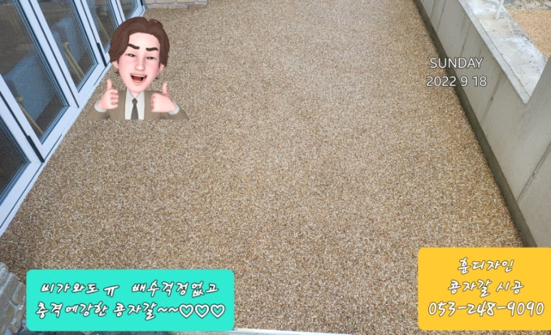 콩자 이미지