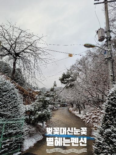 별빛정원펜션 이미지