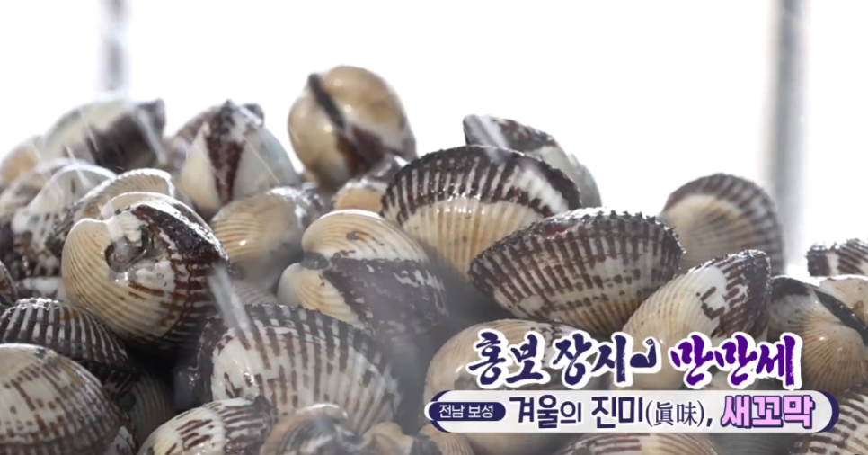벌교꼬막 이미지