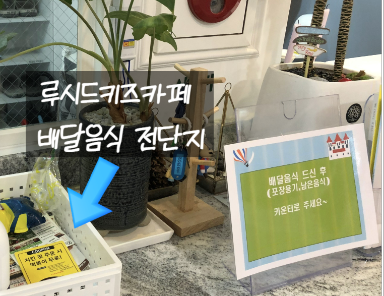 루시드키즈카페 이미지