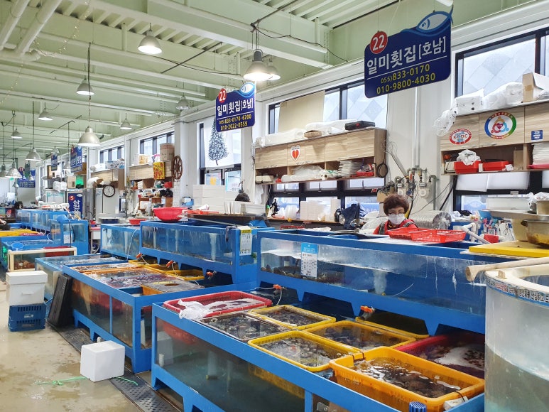 삼천포회센타 이미지