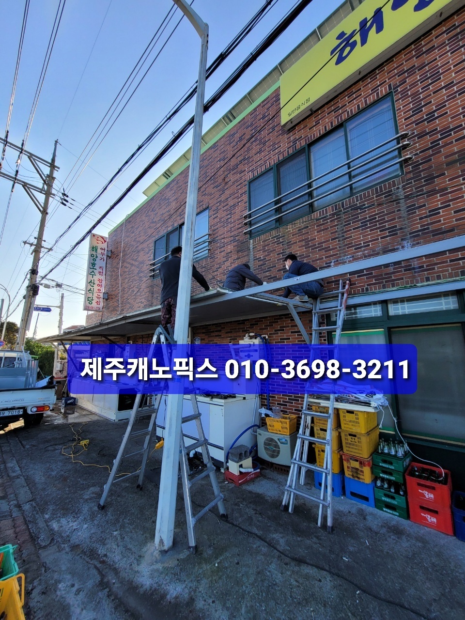 제주캐노픽스 이미지
