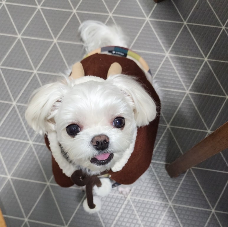 루네일공방 이미지