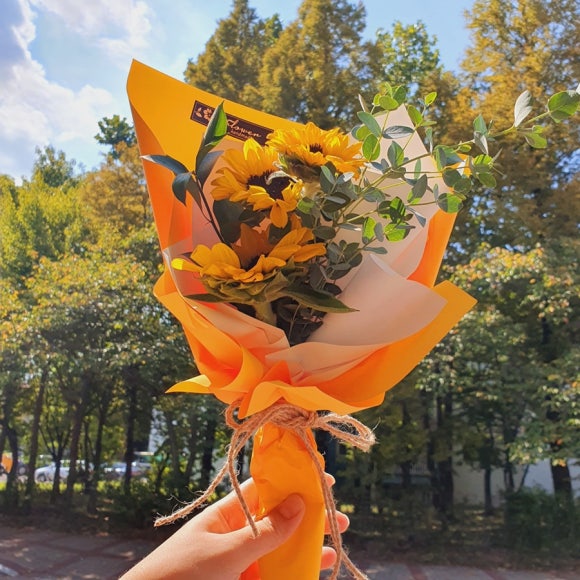 꽃수레화원 이미지