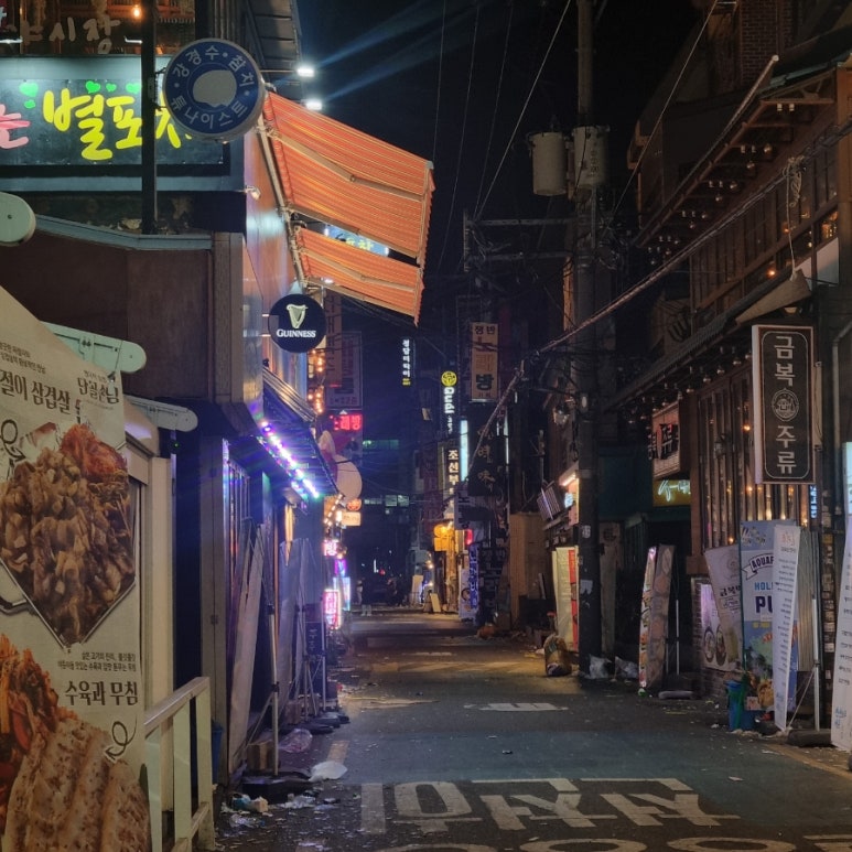 돌고래노래연습장 이미지