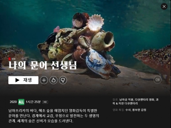 문어삼춘 이미지