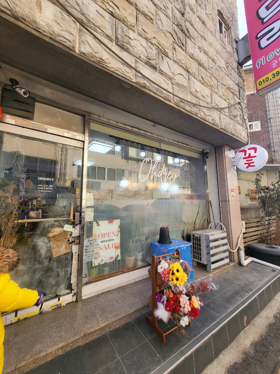 오드리플라워 이미지