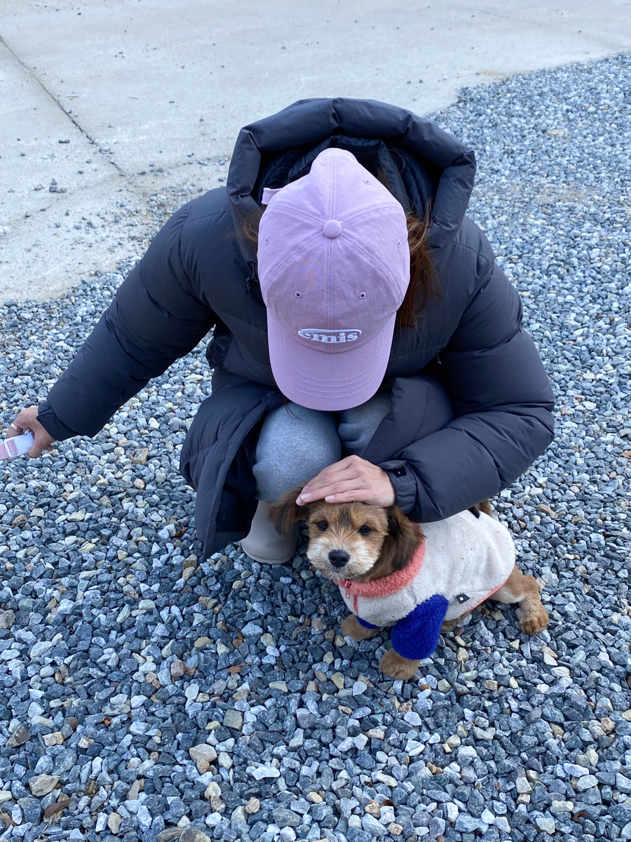 헤이;칠러 이미지