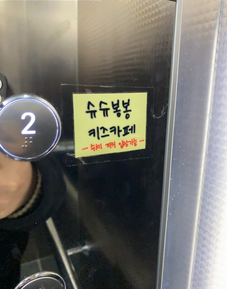 슈슈봉봉디노 이미지