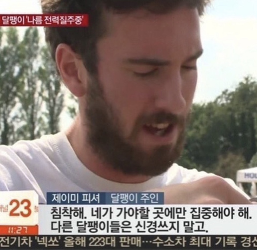 해숲 이미지