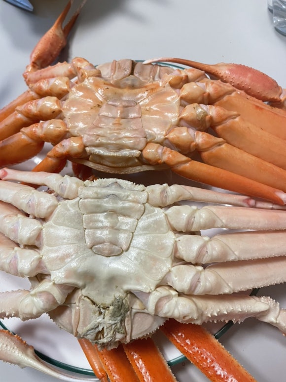 바다홍게 이미지