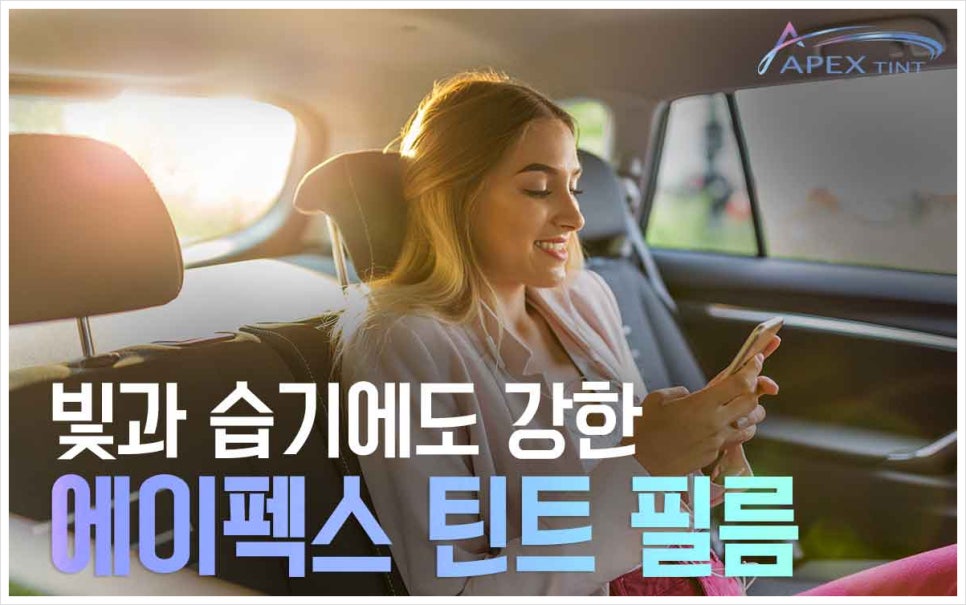 에이펙스글로벌 이미지