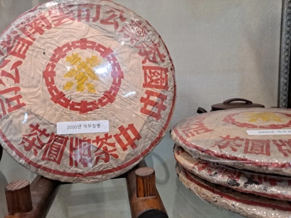 지유명차제주 이미지