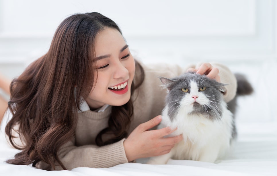 향기로운공간 이미지