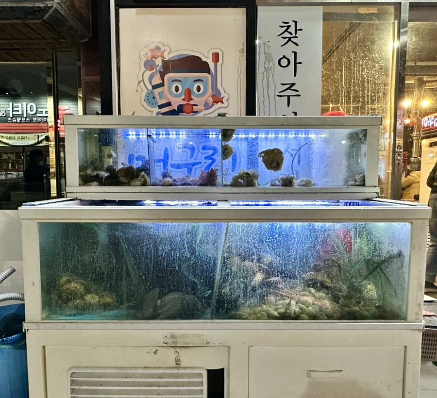 머구리해물대첩 이미지