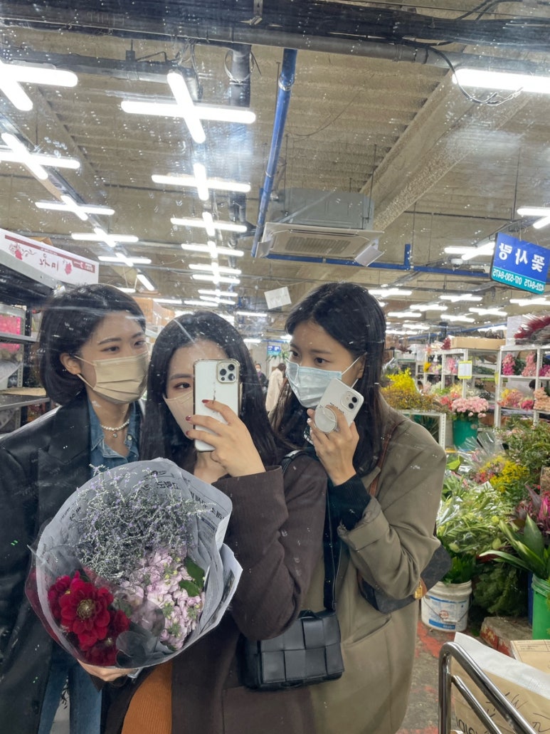 스테이시소 이미지