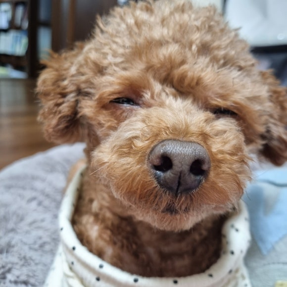 제이타코 이미지