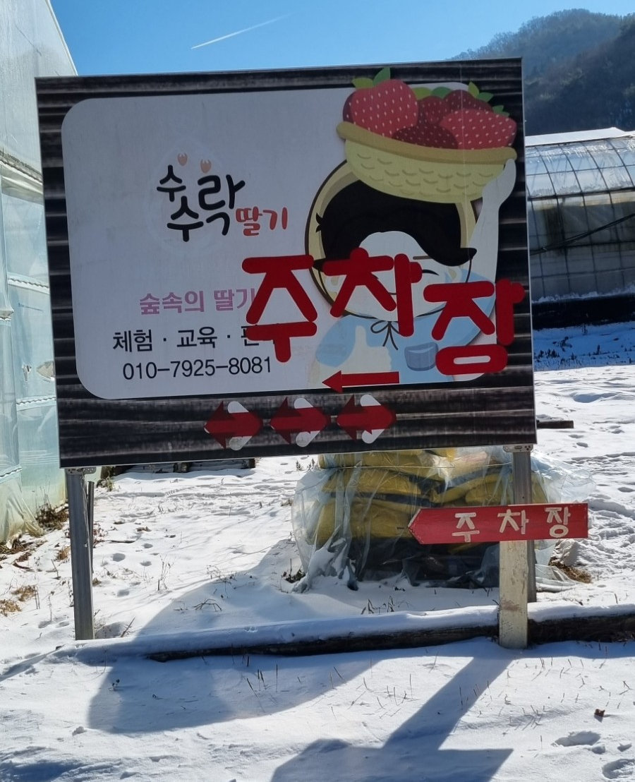숲속에 딸기 이미지