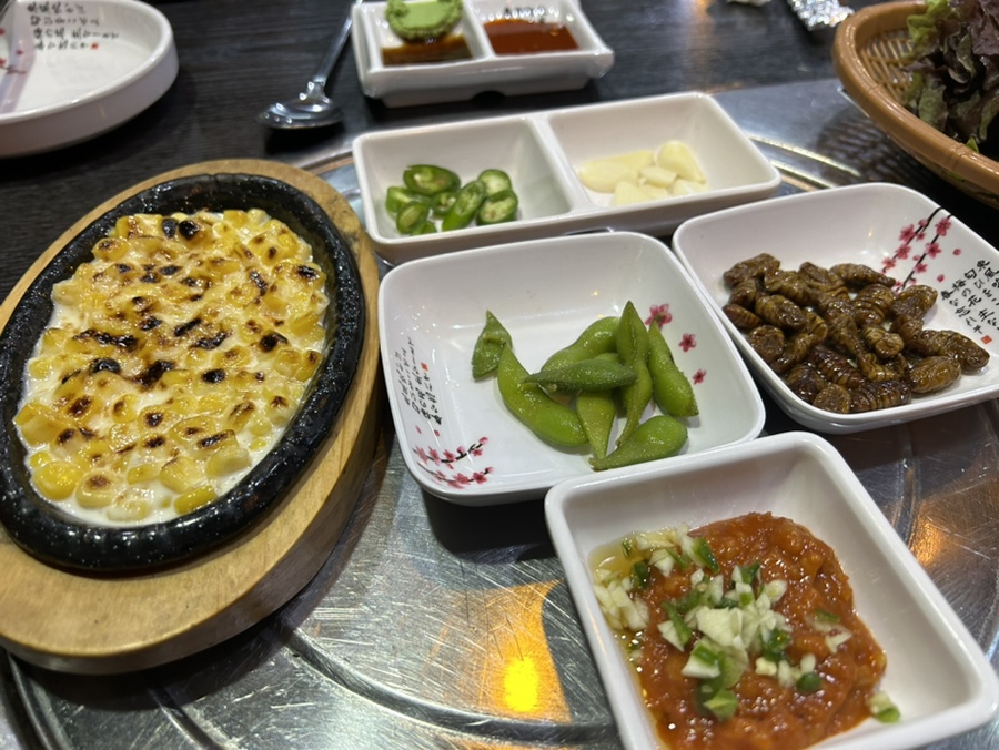 신가바늘산오징어 이미지