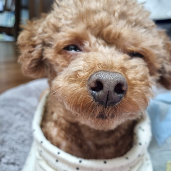 제이타코 이미지