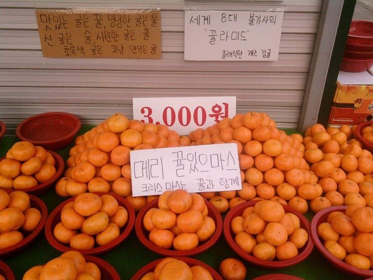 은하수캠핑관광농원 이미지