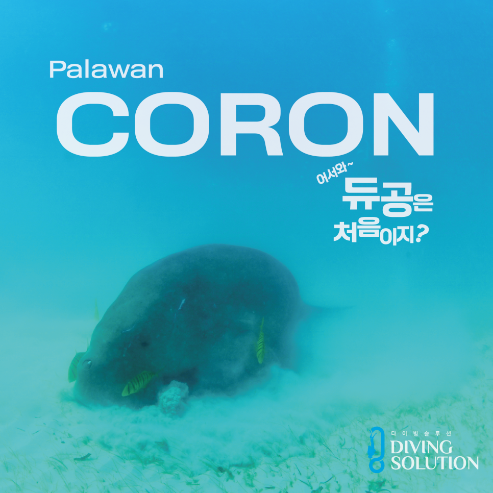 다이빙솔루션 이미지
