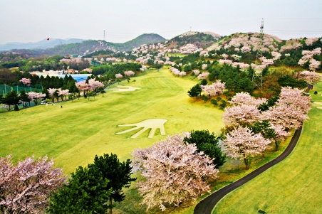 (주)제일스포츠센타 이미지