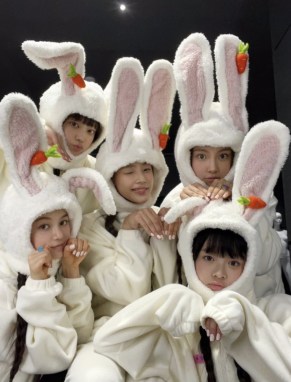 강남토끼 이미지