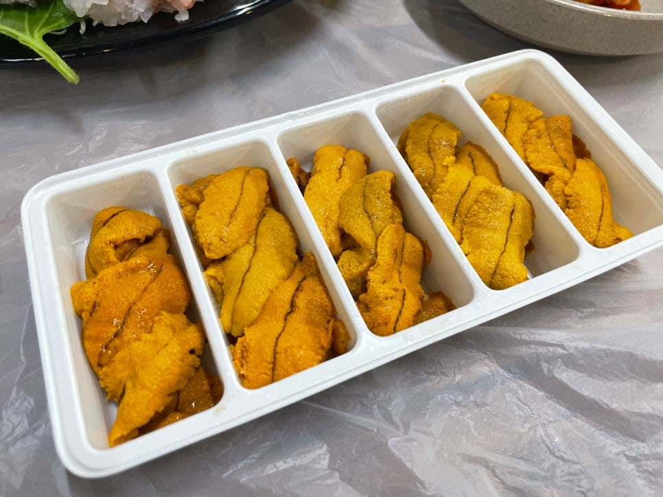 지바네 이미지