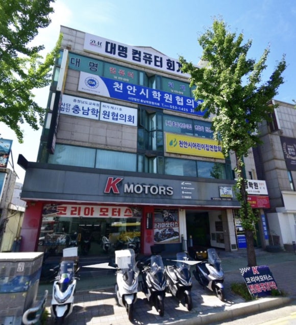 시즈더데이 이미지