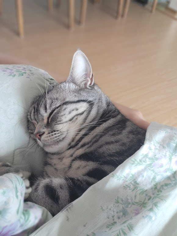 조아헤어 이미지