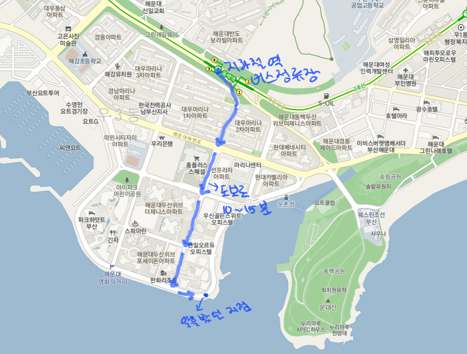 라이브일출 이미지