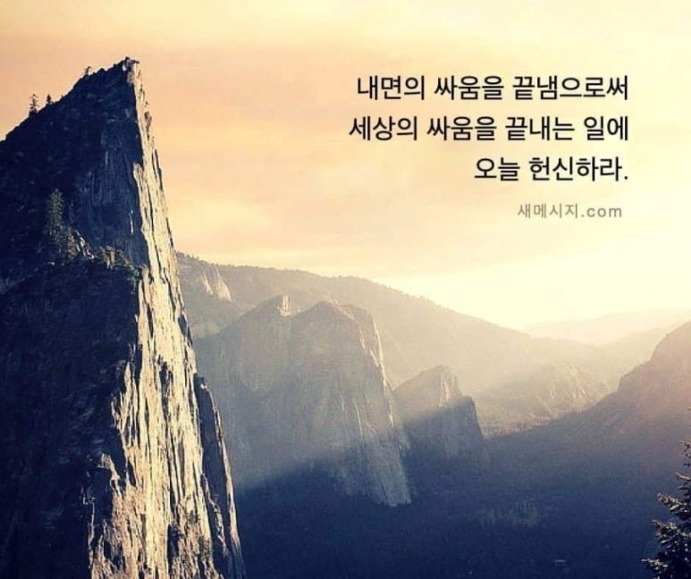 태성푸드 이미지