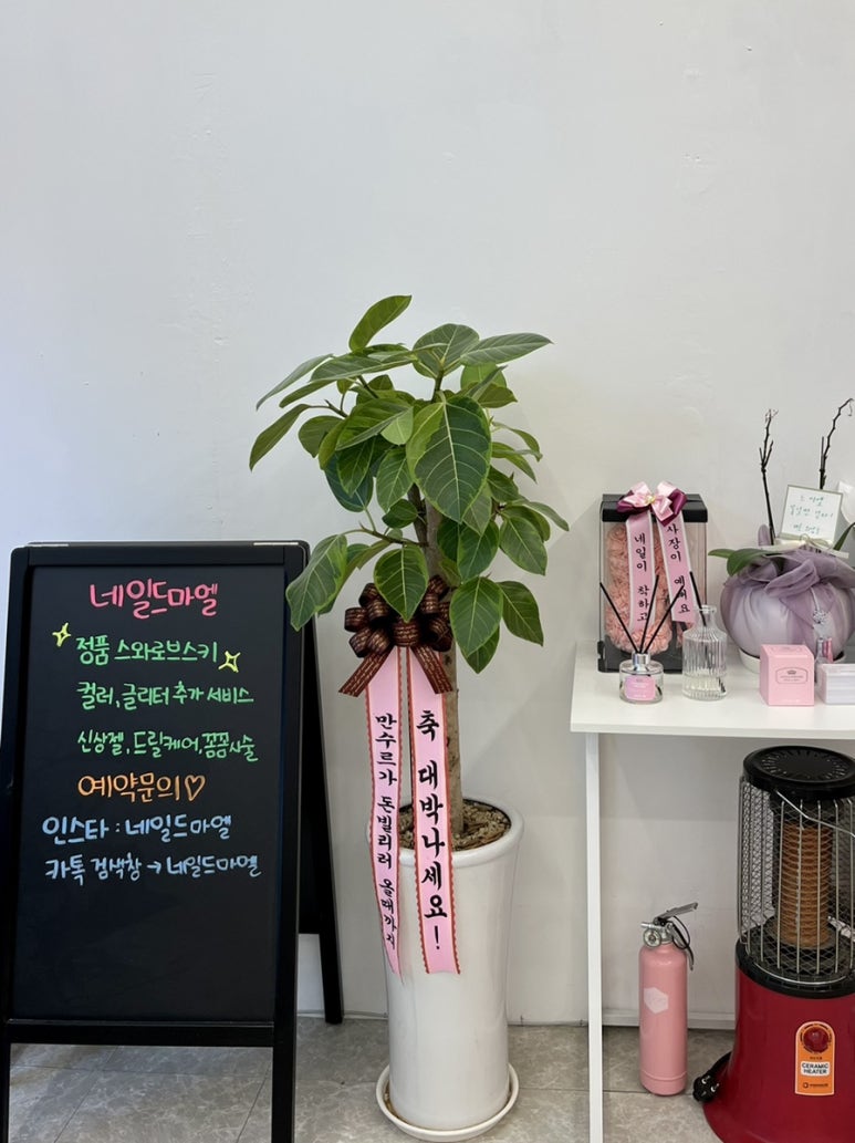 네일드마엘 이미지