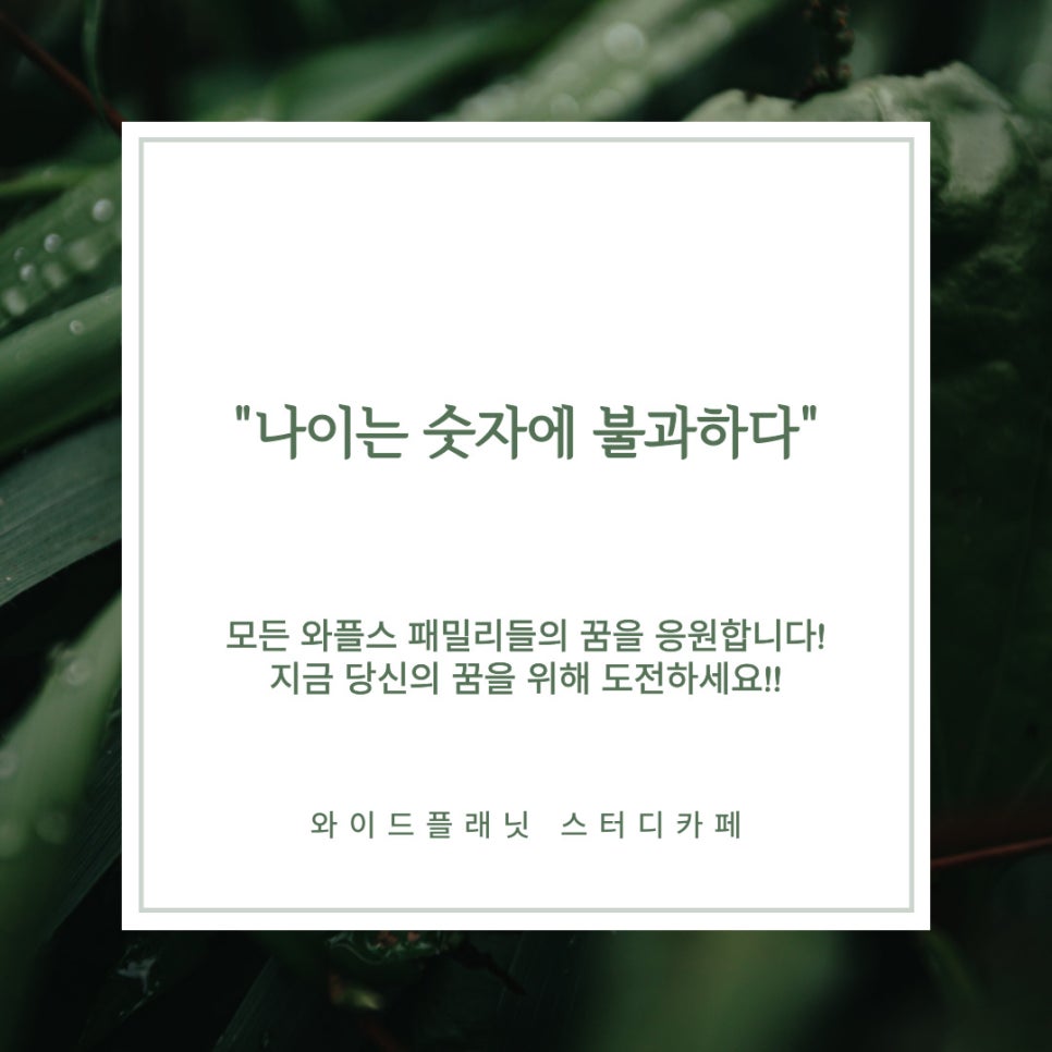 플래닛스터디카페 이미지