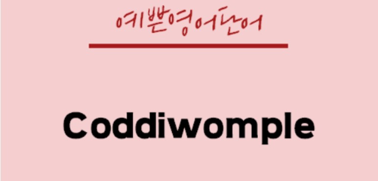 코디웜플 이미지