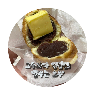 꿈꾸는호두 이미지