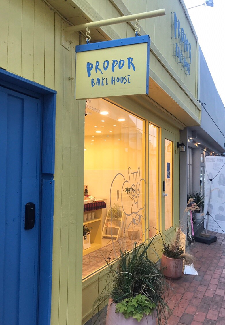 프로포르 이미지