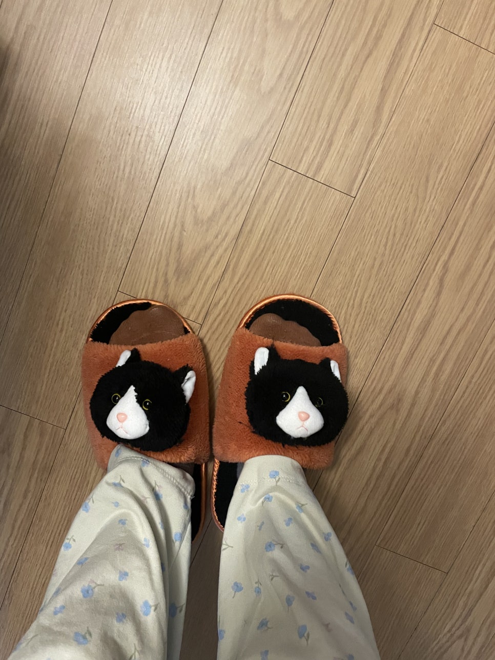 수작노래클럽 이미지