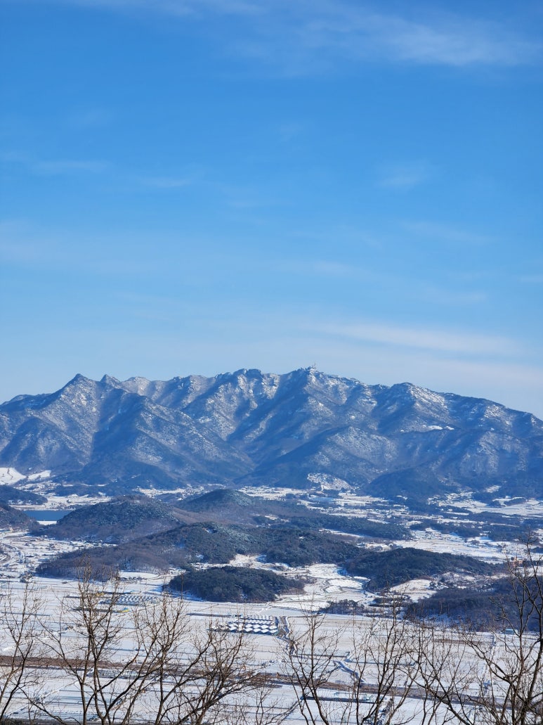 강남태평양약국 이미지