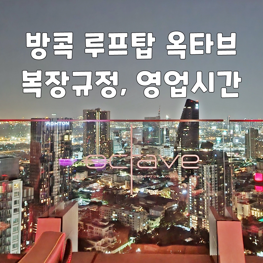 디옥타브 이미지