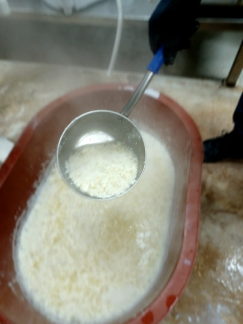 백스토리 이미지