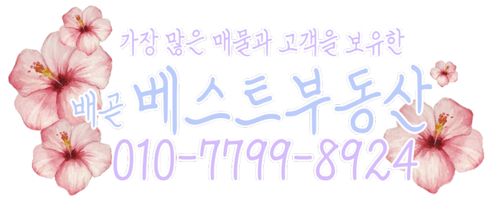 베니스의류 이미지