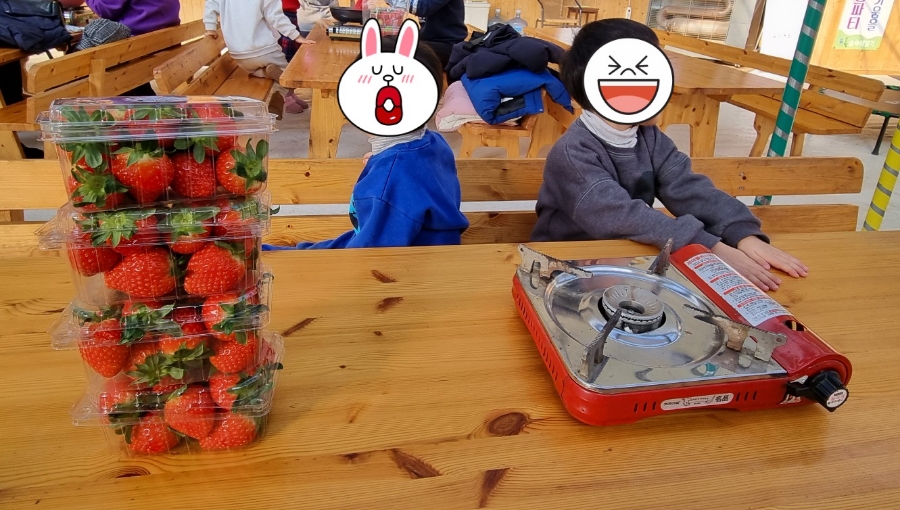 숲속에 딸기 이미지