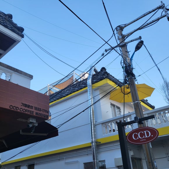 카페CCD 이미지