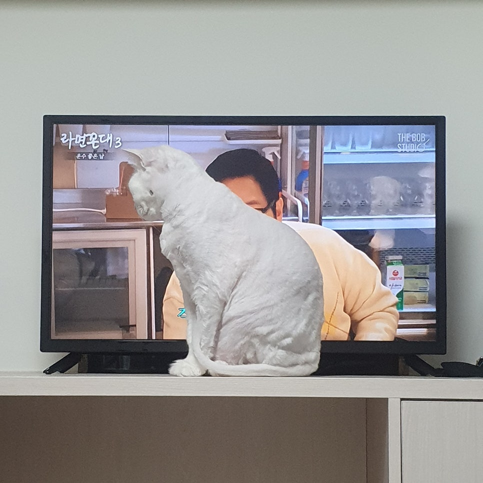 테크노클라이밍짐 이미지