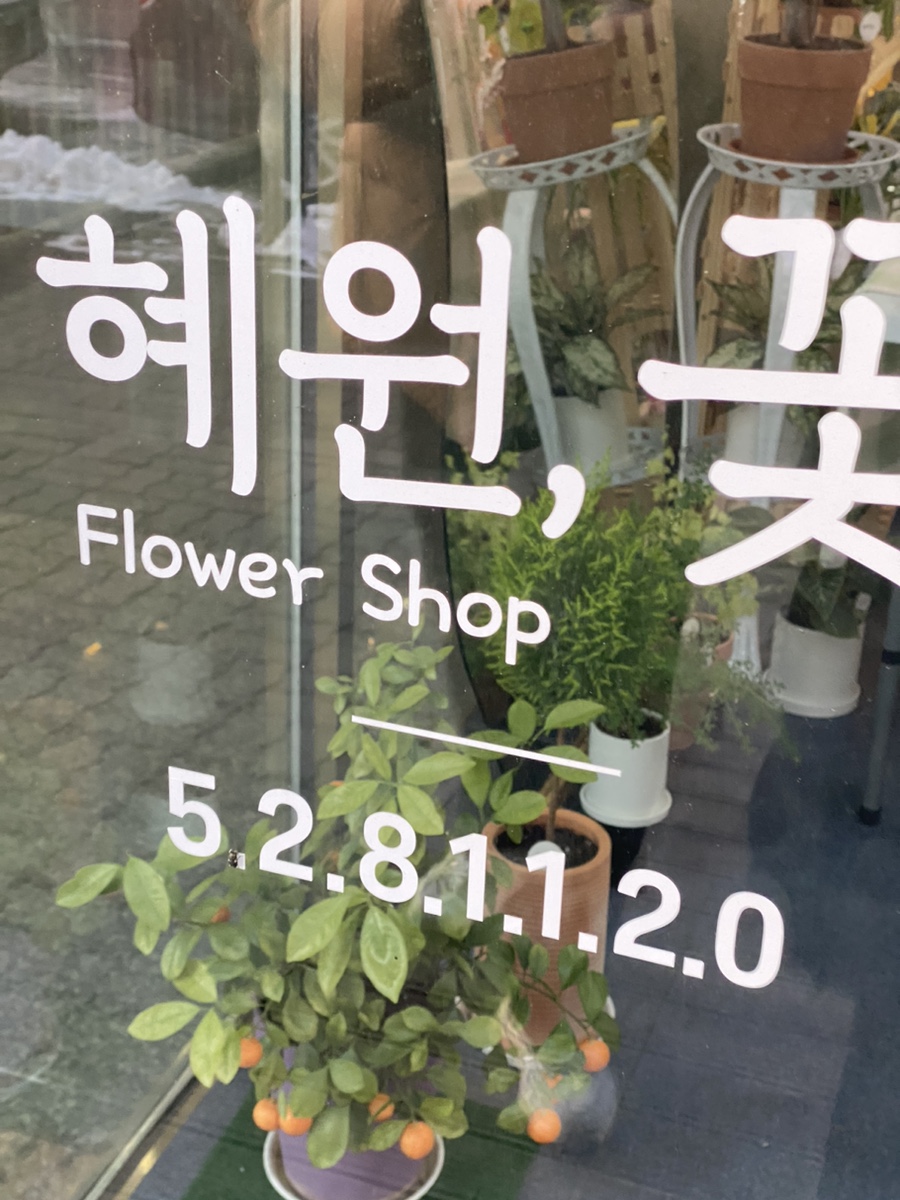 혜원;꽃진접꽃집 이미지